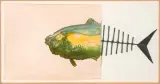 Fisch by Bernard Mélois, 1987, watercolor, sold Sep 2025