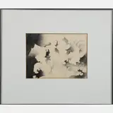 Metemorphose II by Heide Ann Fasnacht, Pencil on paper, offered Sep 2016