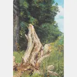 Forest Scene by Chen Mao, Oil on canvas, offered Aug 2016