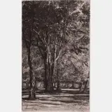 Kensington Gardens, No. II by Francis Seymour Haden, 1860, Etching, offered Jul 2016