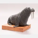 Walrus by Laurence G. Isard, Bronze, offered Jul 2016