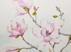 Magnolia by F. Eleanor Johnson, watercolour on paper, sold Jul 2026