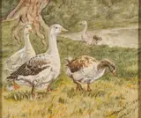 Geese on a riverbank by May Nicolson, watercolor, sold Apr 2023
