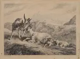 Goats resting by Thomas Sidney Cooper, print (other), sold Apr 2023