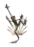 An enamelled bronze model of a frog stalking a butterfly by Tim Cotterill, bronze, offered Feb 2023