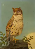 Long Eared Owl by Henry Stacy Marks, oil, sold Jan 2023