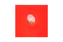 Untitled by Robyn Denny, pencil, offered Feb 2024