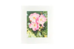Untitled by Peter Blake Cbe Rdi, pencil, offered Feb 2024