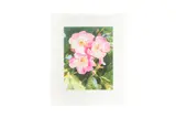 Untitled by Peter Blake Cbe Rdi, pencil, offered Feb 2024