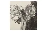 Untitled by Jim Dine, pencil, offered Feb 2024