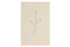 Untitled by Michael Landy, pencil, offered Feb 2024