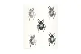 Untitled by Mark Wallinger, pencil, offered Feb 2024