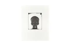 Untitled by Stuart Brisley, pencil, offered Feb 2024