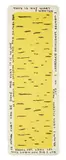 Untitled by David Shrigley, print (other), offered Feb 2024