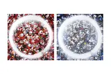 Untitled by Takashi Murakami, print (other), offered Feb 2024