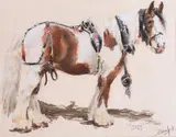 Sam by Susan Crawford, Pastel drawing of a carthorse, sold Feb 2023