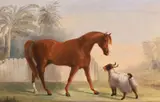 A horse and a ram by John Alexander Harrington Bird, oil, offered Dec 2022