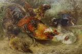 Cockerel and chickens by William Huggins, oil on board, sold Jul 2023