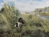Springer retrieving by Henry Wilkinson, oil on canvas, sold Jun 2023