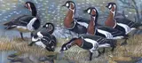 Geese on the shorelinewatercolour by Charles Frederick Tunnicliffe, watercolour, sold Jun 2023