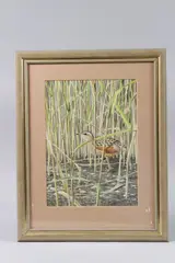 Corncrake by Norman Arlott, watercolour, sold Aug 2025