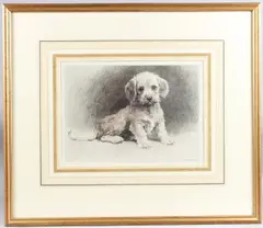 Dandie pup by Herbert Dicksee, etching, offered Aug 2025