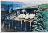 Yn y Gorlan / Penned Sheep by Keith Bowen limited edition, 2004, print, sold Dec 2023