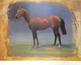 Piludski by Susan L. Crawford, print, offered Nov 2023