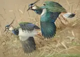 Untitled by Ralston Gudgeon, oil on canvas, sold Nov 2023