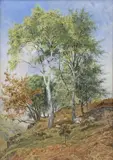 Titled verso by John Sinclair, watercolour, offered Nov 2023