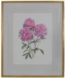 Pink Peonies by Jane Watkins, watercolour, sold Feb 2023