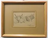 Study of two Highland cattle resting by Jane Percival, pencil on paper, sold Feb 2023
