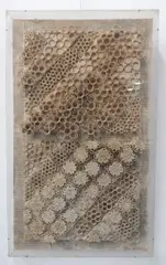 a perspex, box-framed construction/assemblage: varying concentric by Arthur Giardelli, pencil, sold Oct 2022