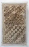 a perspex, box-framed construction/assemblage: varying concentric by Arthur Giardelli, pencil, sold Oct 2022