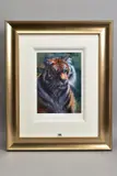 Tiger in the sun by Rolf Harris, print on paper, sold Aug 2020
