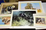 Limited Edition prints, comprising 'Life Goes On-September by David Shepherd, print (other), sold Aug 2020