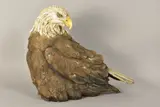 a large stoneware sculpture of a seated eagle, impressed mark, approximate height by Karen Fawcett, sculpture, sold Aug 2020