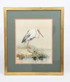 White Marabou Stork by Henry Stacy Marks, watercolour on paper, sold Jun 2019