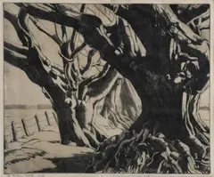 Tree Trunks by Harry Fabian Ware, etching on paper, sold Jun 2019