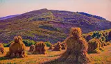 Moissons au SoirSigned and dated 1920 by Gustave Cariot, 1920, Oil on canvas, sold Jun 2019