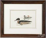 of a Hurley Conklin merganser duck decoy by James P. Fisher, watercolor on paper, sold Mar 2022