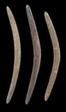 (NEW SOUTH WALES), 19th Century by Three Hardwood Boomerangs, incised hardwood with old shiny patina, sold Nov 2014