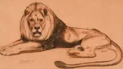 Lion couché by Auguste Trémont, 1930, Fusain, sanguine et rehauts de pastel sur papier signé et daté «30» en bas à gauche, sold Apr 2019