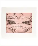 Soft ground etching - Coral by Bruce Nauman, 2007, Aquatinte en couleur, sold Dec 2017