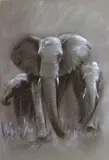 Troupeau d'éléphants de face by Jorge Borrás, Sanguine et pastel, sold Jul 2014