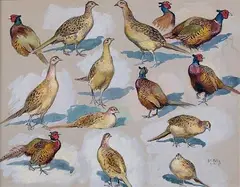 Etude de faisans et poules faisannes by Georges Rötig, 1921, Gouache sur papier teinté beige signé et daté en bas à droite, sold May 2014