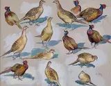 Etude de faisans et poules faisannes by Georges Rötig, 1921, Gouache sur papier teinté beige signé et daté en bas à droite, sold May 2014