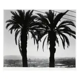 Twin Palms, Sunrise, Elysian Park, Los Angeles, California by Ryan McIntosh, 2019, Gelatin silver print, sold Jan 2025
