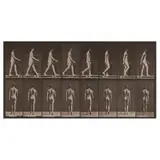 Man Walking , from Animal Locomotion by Eadweard Muybridge, Collotype, sold Jan 2025