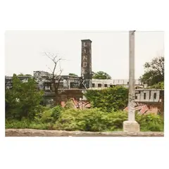 Graffiti by Stacey Evans, Color photograph, sold Jan 2025
